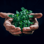 Herbciepscam fraud uncovered: How to identify and avoid this growing scam